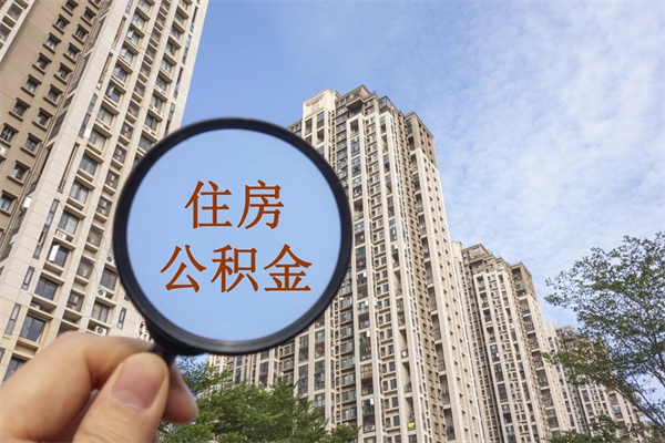 漯河怎么把公积金全部取出来（如何将公积金全部取出）